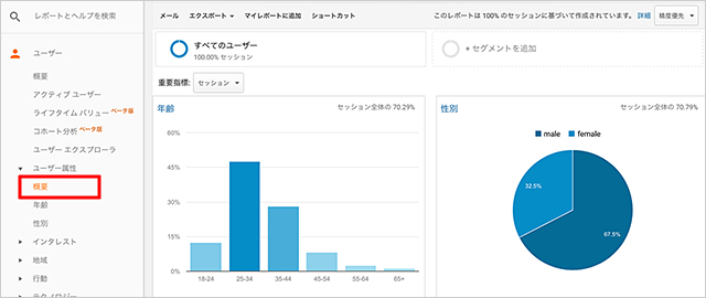 Google Analytics 訪問者の性別や年齢