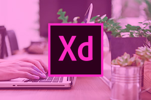 adobe-xd