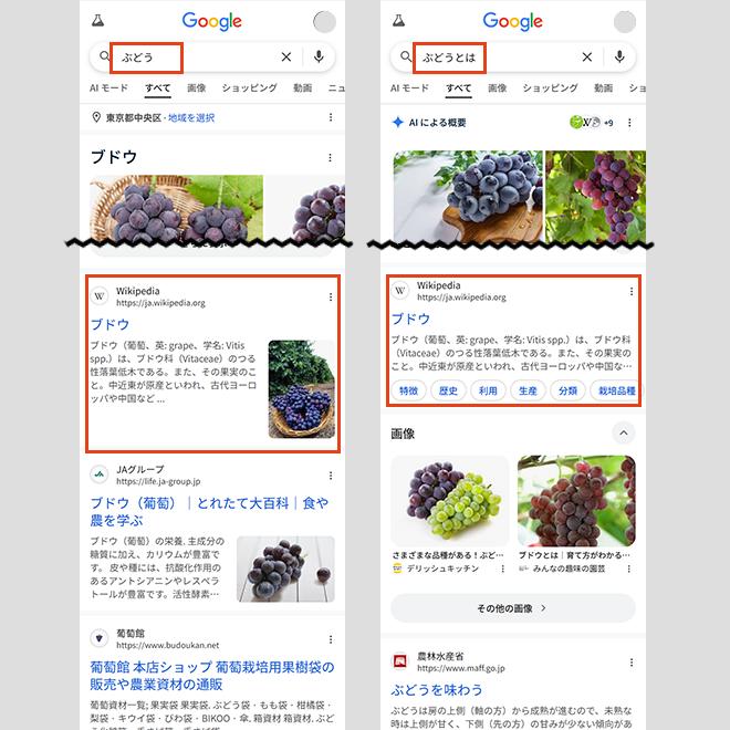 画像表示とビジュアル重視の傾向